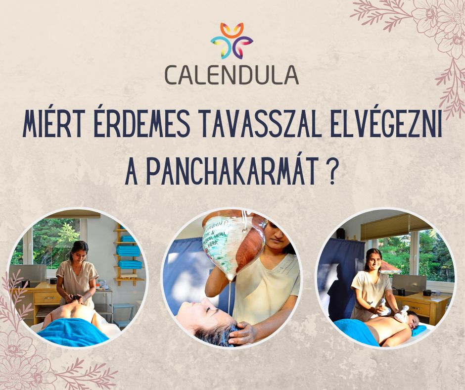 Miért érdemes tavasszal elvégezi a Panchakarmát?